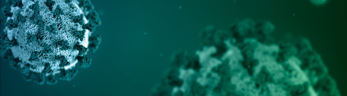 e8ac04c0-11f7-d0c2-a3f1-d7e8968ca76e